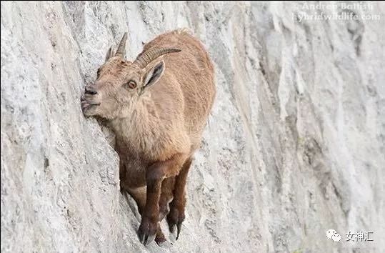 “亲！求求您把照片删了吧 ”某宝买了个假发，老板哭着打电话求删除买家秀？