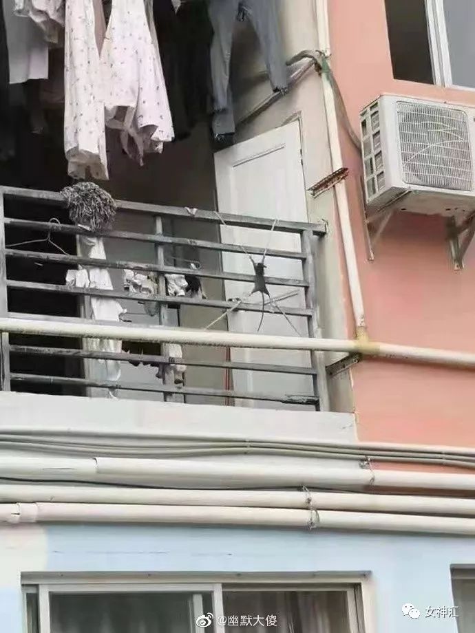 “亲！求求您把照片删了吧 ”某宝买了个假发，老板哭着打电话求删除买家秀？