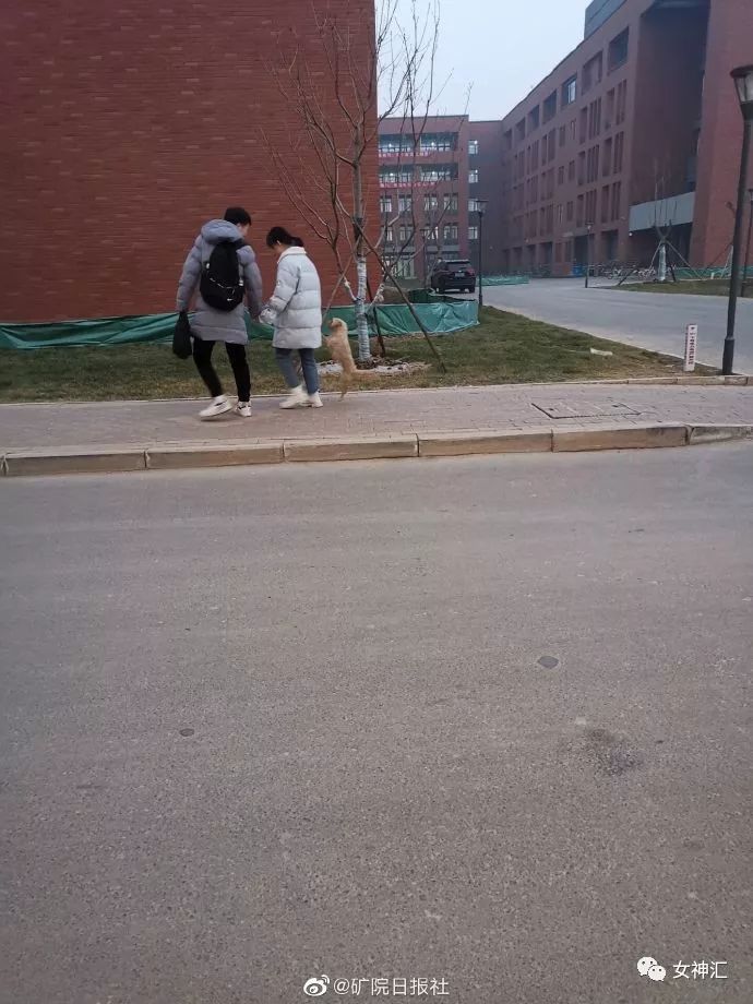 “亲！求求您把照片删了吧 ”某宝买了个假发，老板哭着打电话求删除买家秀？