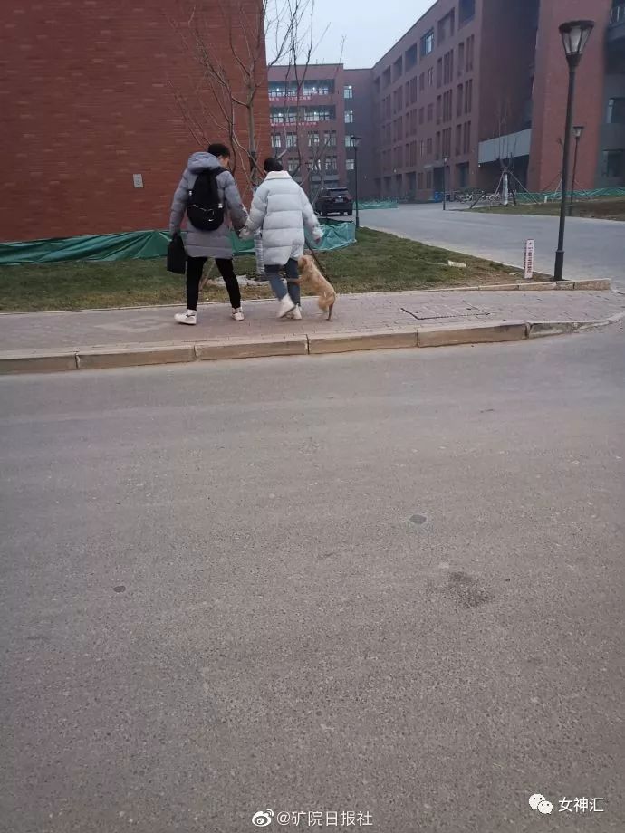 “亲！求求您把照片删了吧 ”某宝买了个假发，老板哭着打电话求删除买家秀？