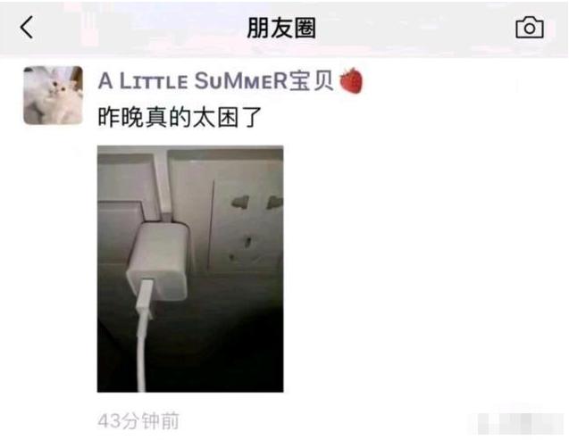 “没文化就不要出来装X了，翻车不尴尬吗？”哈哈哈哈笑尿了