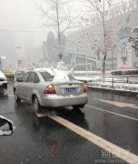 车主很淡定，卖了个萌