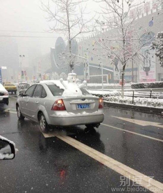 车主很淡定，卖了个萌