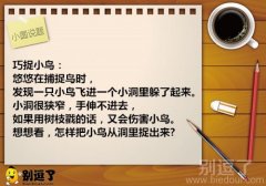 小圆说题：巧捉小鸟