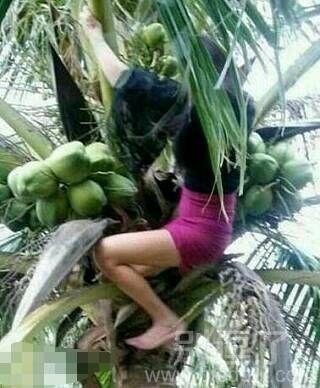 无敌妹子贱贱图