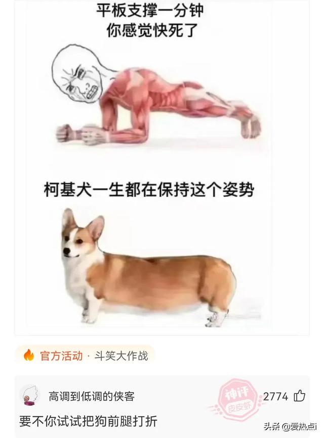 神评:村里的尴尬,城里人不懂!哈哈 神评:村里的尴尬,城里人不懂!哈哈