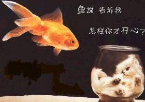 为何那么傻,非要和我交换