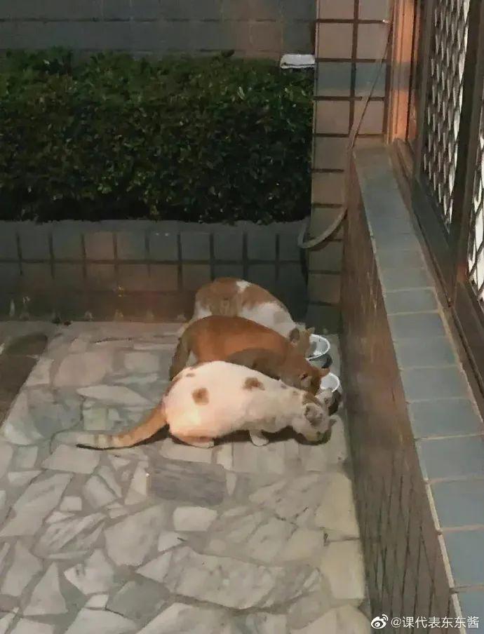 轻松一秒:只要吃得苦中苦,老板明天开路虎 轻松一秒:只要吃得苦中苦,老板明天开路虎