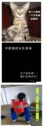 每个人身边都会有一个损友
