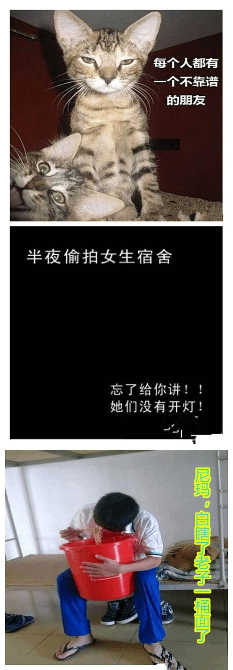 每个人身边都会有一个损友