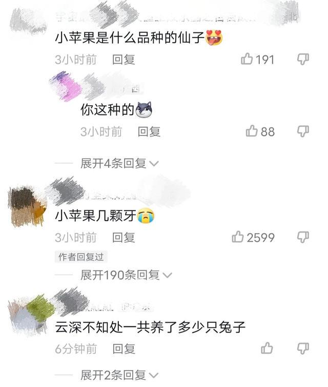 话说看了陈情令500遍了，有什么问题是回答不了的，比如这些