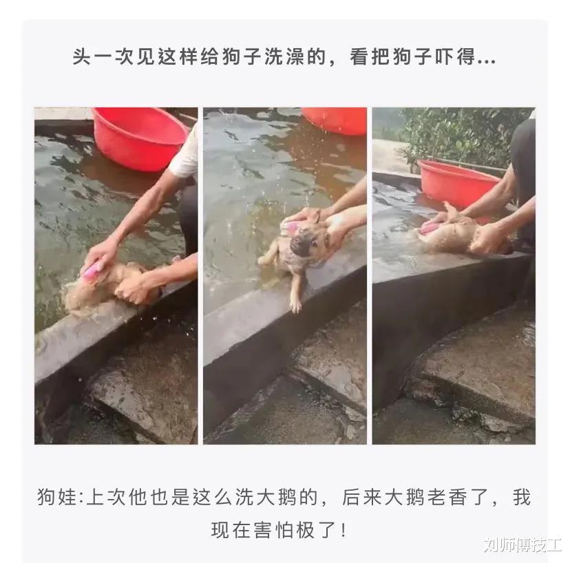 “姐妹可长点心吧,镜片上的反光暴露了一切,”好尴尬 “姐妹可长点心吧,镜片上的反光暴露了一切,”好尴尬