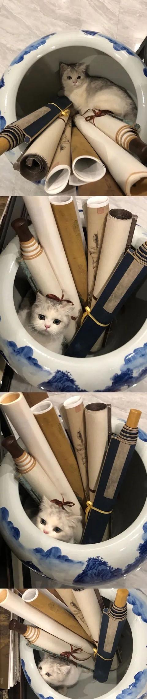 30块钱把公司弄整顿,哈哈哈哈00后就是勇 30块钱把公司弄整顿,哈哈哈哈00后就是勇