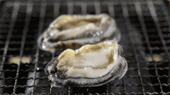 什么时候熟啊，看了30多分钟了