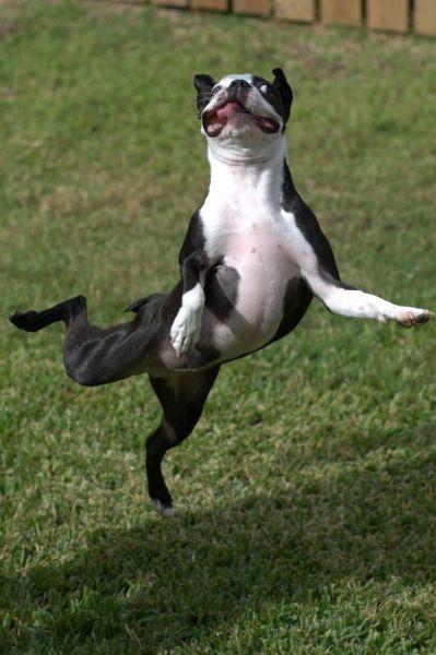 一个人孤独的时候,可以二一二。