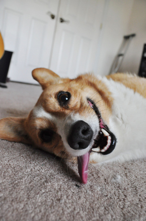 一个人孤独的时候,可以二一二。