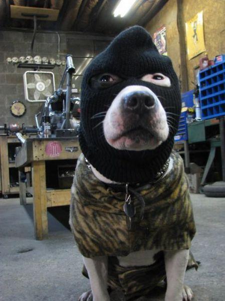 一个人孤独的时候,可以二一二。