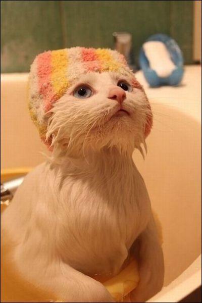 一个人孤独的时候,可以二一二。