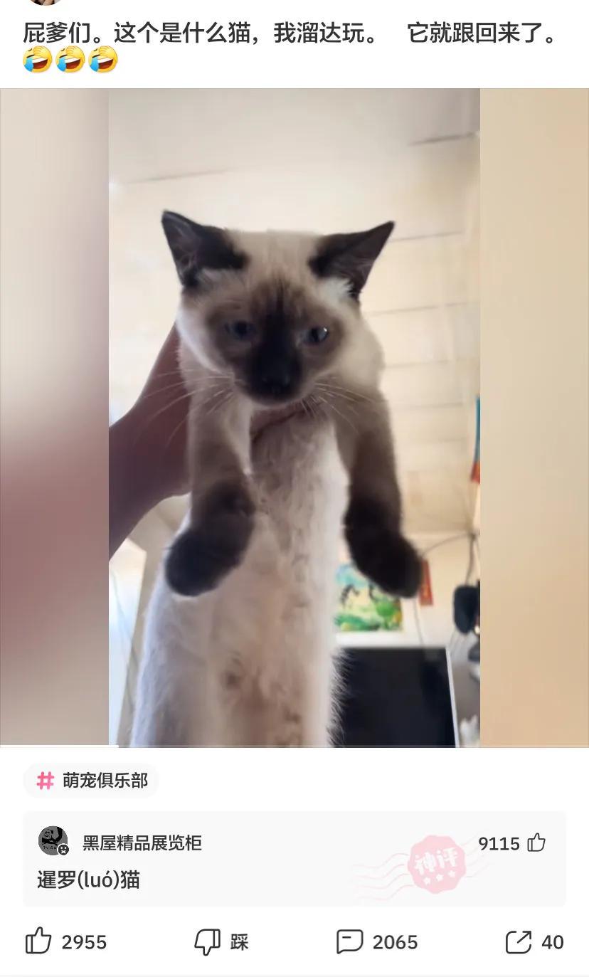 “传说中的采阴补阳,在现实中可以实现吗?”那叫采阳补阴哈哈哈哈哈哈 “传说中的采阴补阳,在现实中可以实现吗?”那叫采阳补阴哈哈哈哈哈哈