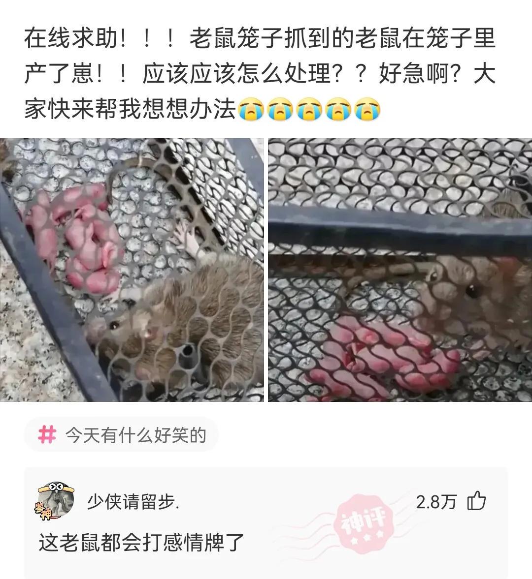 “传说中的采阴补阳,在现实中可以实现吗?”那叫采阳补阴哈哈哈哈哈哈 “传说中的采阴补阳,在现实中可以实现吗?”那叫采阳补阴哈哈哈哈哈哈