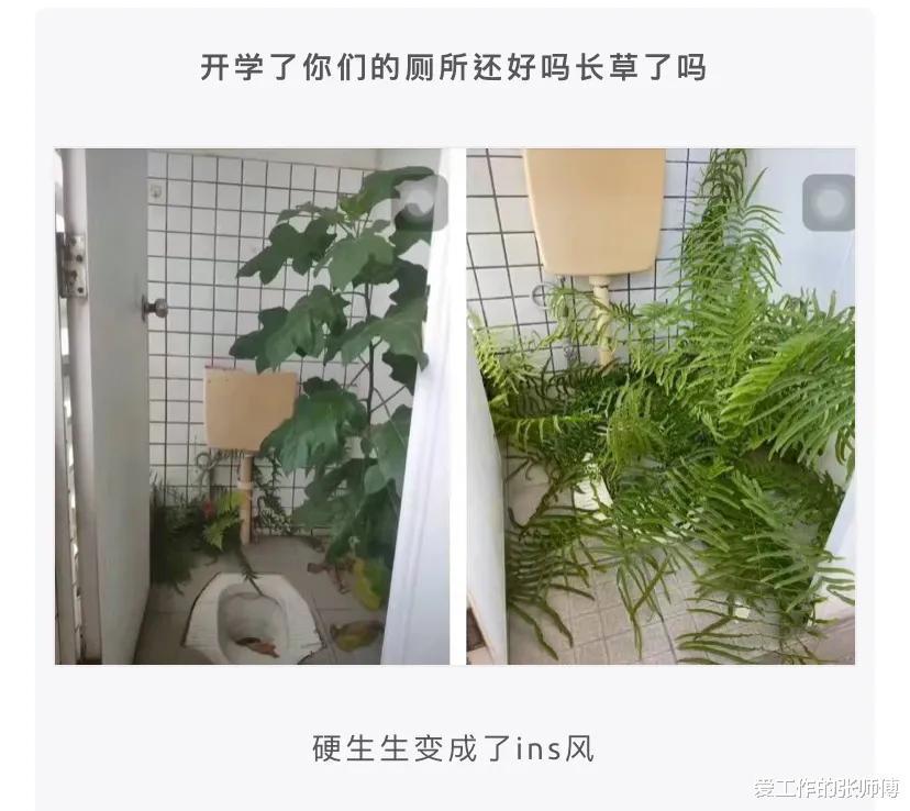 “考试不要怕，爸给你找了很硬的后台”这就是你说的后台？