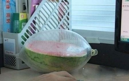 炎炎夏日,趣图为你降降暑。
