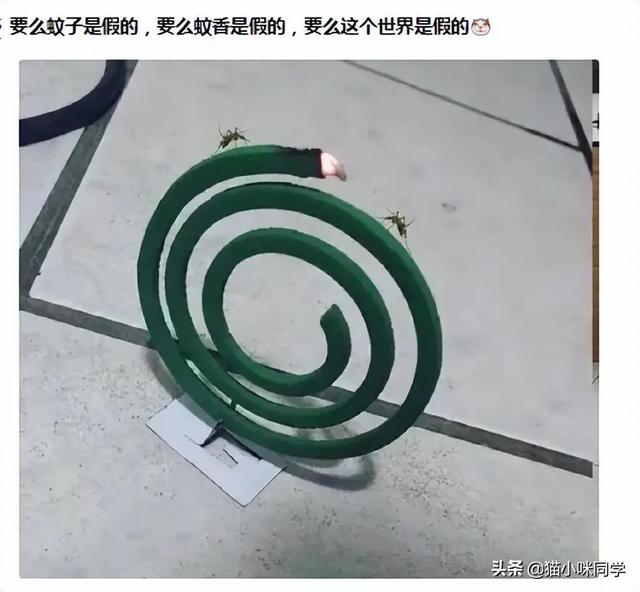 晚自习突然断电,趁机我亲了班花一下,谁料她低声告诉我一个秘密 晚自习突然断电,趁机我亲了班花一下,谁料她低声告诉我一个秘密