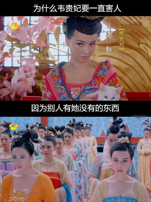 韦妃害人的真正原因 韦妃害人的真正原因