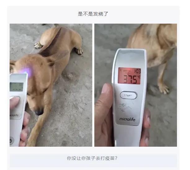 神回复:苏联无一人感染新冠!网友来了个漂亮的反怼 神回复:苏联无一人感染新冠!网友来了个漂亮的反怼