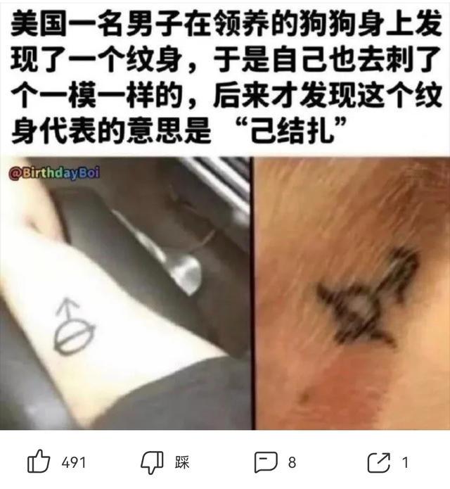爆笑神回复:如果你是我女朋友我就来接你哈哈哈结局太搞笑了 爆笑神回复:如果你是我女朋友我就来接你哈哈哈结局太搞笑了