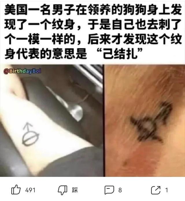 爆笑神回复：如果你是我女朋友我就来接你哈哈哈结局太搞笑了