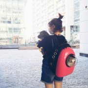 这是猫猫的新家还不错吧