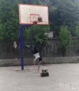 或许见不到明天的太阳