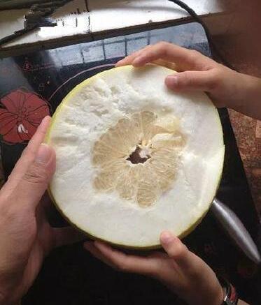 尼玛真是各种坑啊! 尼玛真是各种坑啊!