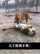 你俩这样乱伦真的好吗