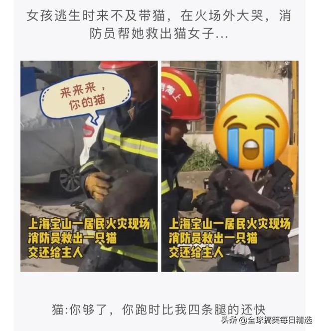 神回复:我认为刘婵不喜欢红色的女子,喜欢黑色的女孩 神回复:我认为刘婵不喜欢红色的女子,喜欢黑色的女孩