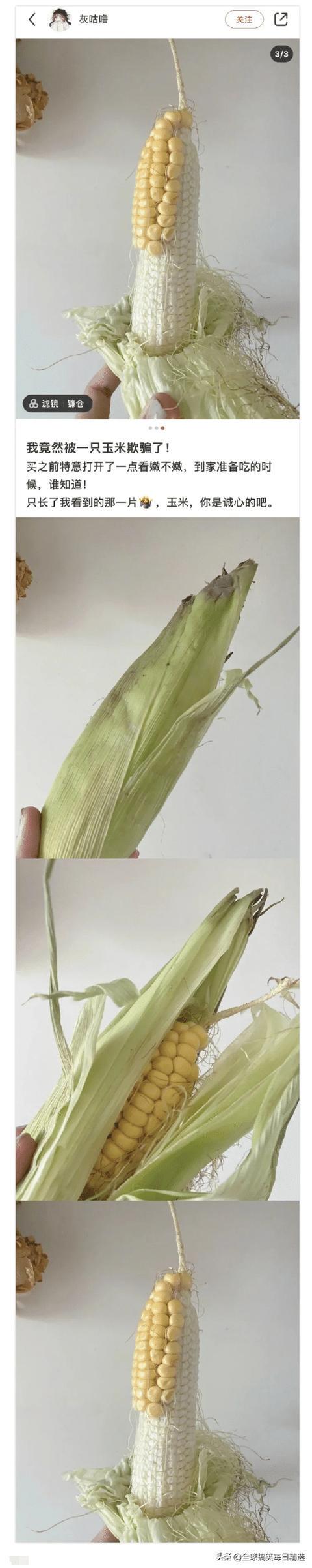 神回复:我认为刘婵不喜欢红色的女子,喜欢黑色的女孩 神回复:我认为刘婵不喜欢红色的女子,喜欢黑色的女孩