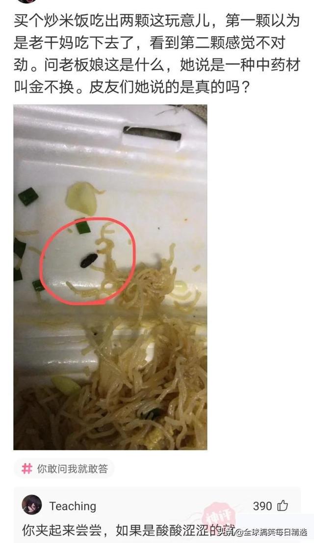 神回复:我认为刘婵不喜欢红色的女子,喜欢黑色的女孩 神回复:我认为刘婵不喜欢红色的女子,喜欢黑色的女孩