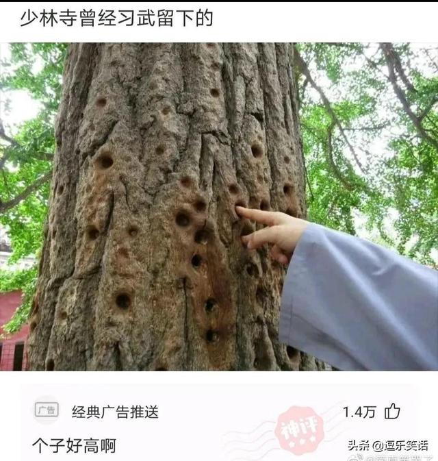 “看到女朋友的搜索记录，我都崩溃了！还能继续吗？”哈哈哈