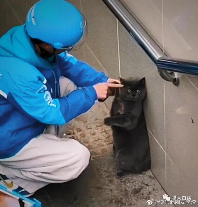 男明星拍照心机有多深?哈哈哈哈几个人加起来有八百个心眼 男明星拍照心机有多深?哈哈哈哈几个人加起来有八百个心眼