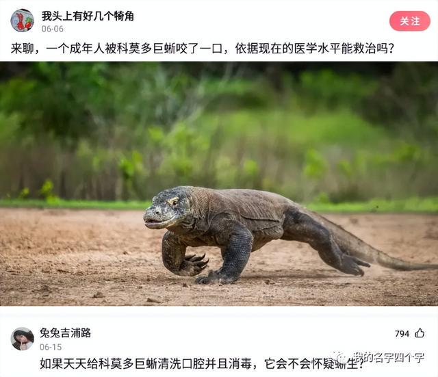 神回复:为什么感觉晒离婚证的大部分是女的? 神回复:为什么感觉晒离婚证的大部分是女的?