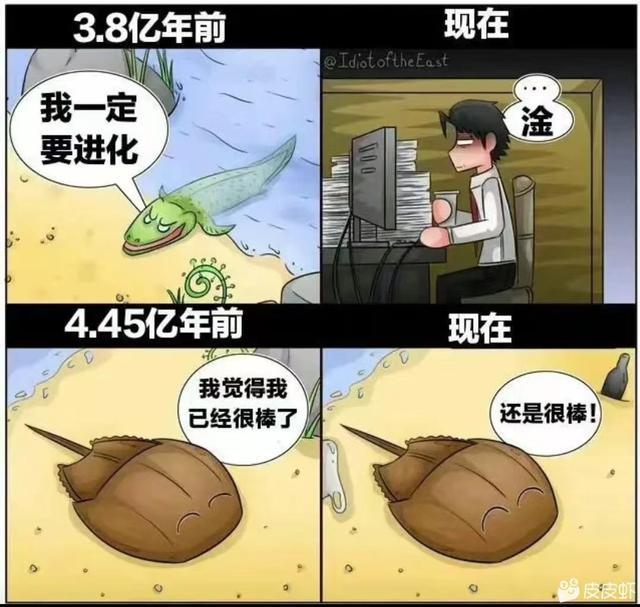 中间商赚差价 中间商赚差价