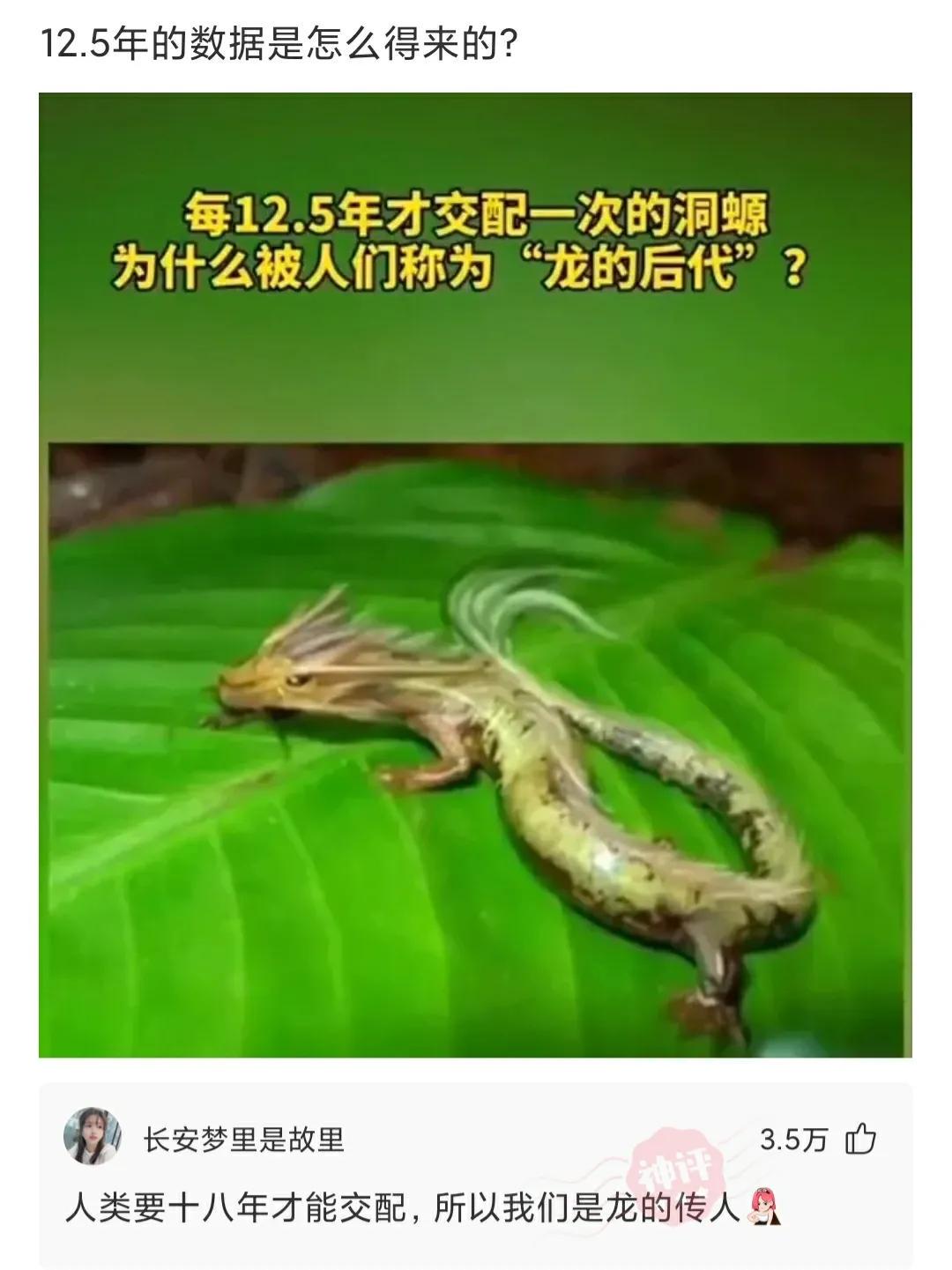 “在KTV上班的女孩子你会要吗,最后嫁给谁了?”评论区真相好残忍 “在KTV上班的女孩子你会要吗,最后嫁给谁了?”评论区真相好残忍