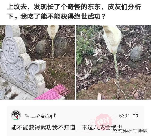 “老婆说自己没有出轨，丈夫就是不相信！”网友：我们相信你媳妇