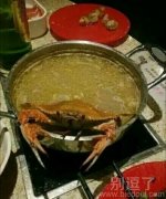 抓住他，他要爬出来了
