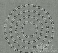 这个图看得好晕呀