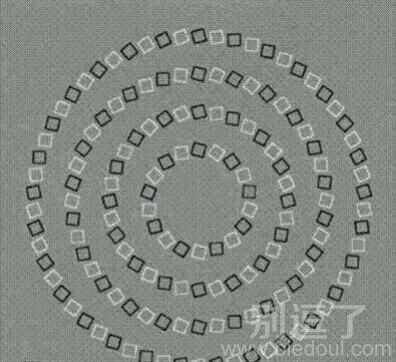 这个图看得好晕呀