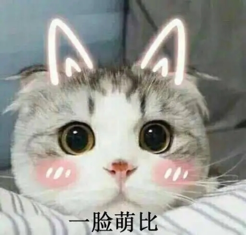 开心一刻笑话:今天,男友嫌我太胖,提出想跟我分手 开心一刻笑话:今天,男友嫌我太胖,提出想跟我分手