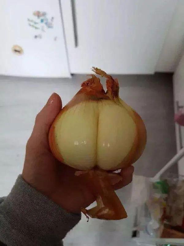 每日趣图:网友:女朋友包里发现的,这是什么东西? 每日趣图:网友:女朋友包里发现的,这是什么东西?