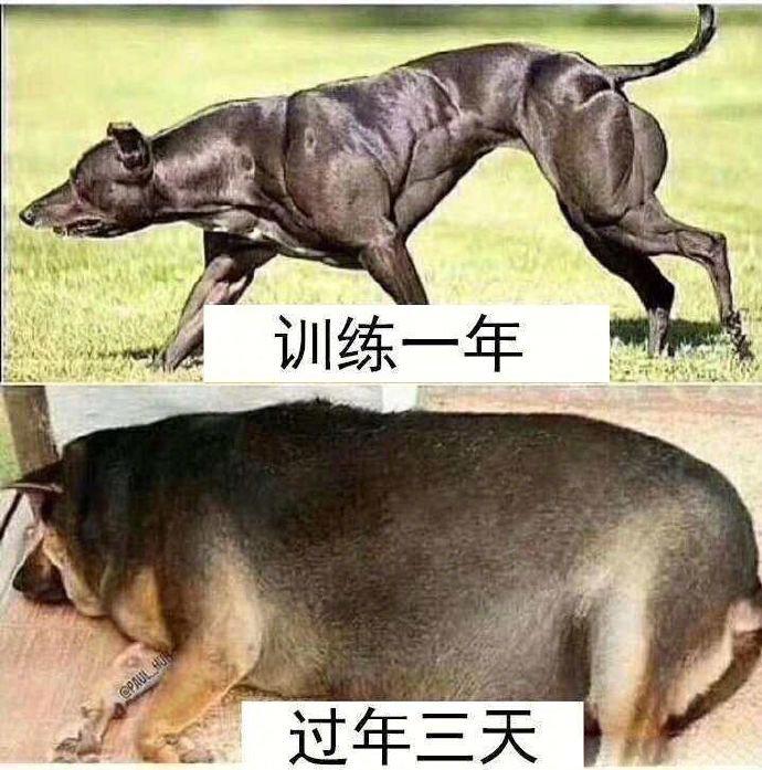轻松一秒:我不是恋爱脑,我恋爱的时候没有脑 轻松一秒:我不是恋爱脑,我恋爱的时候没有脑